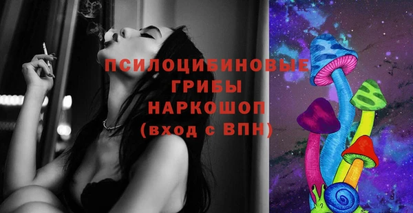 2c-b Бородино