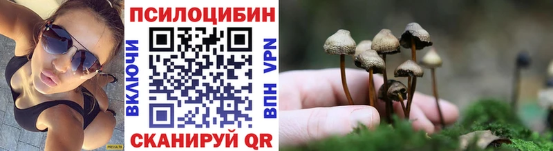 Купить  Усолье-Сибирское  Псилоцибиновые грибы Psilocybine cubensis 